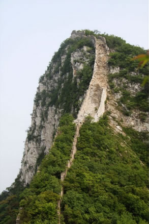 Ľ�����L���L���D