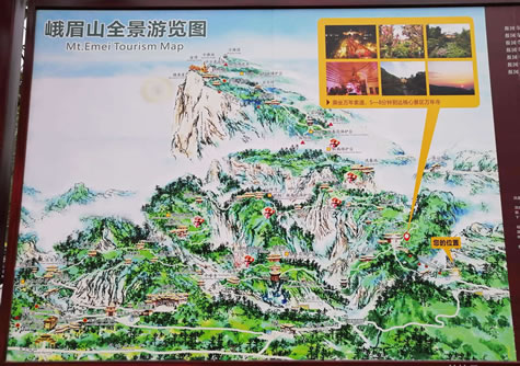 ��üɽ���ΈD